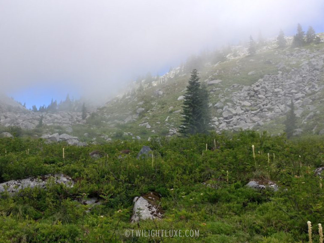 Blue sky and mountain emerging through the fog in the Cascade Mountains in Washington State